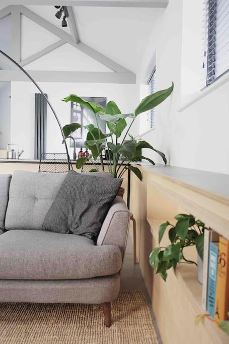 Blackett Street Bunkhouse *